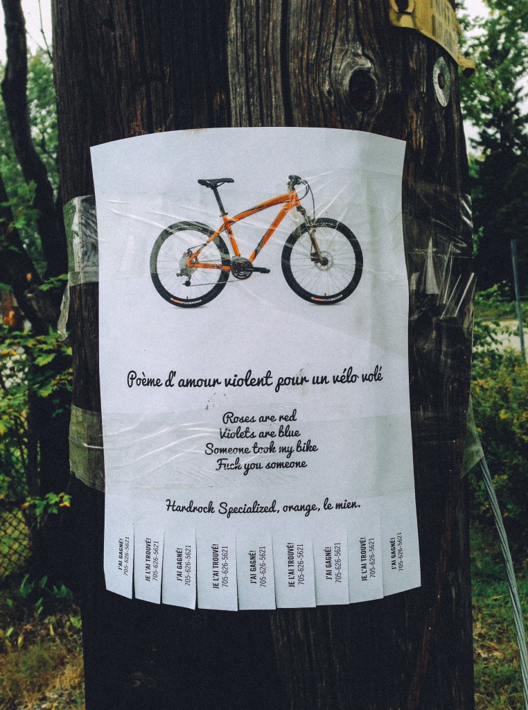 Poème d'amour violent pour un vélo volé