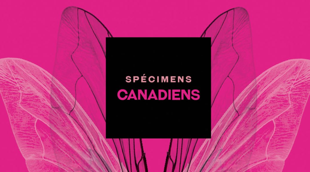 specimens_canadiens_printemps_de_bourges_2022